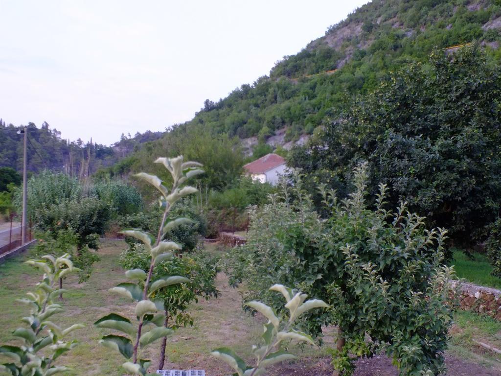 Holiday Home Ivana فيربازار الغرفة الصورة