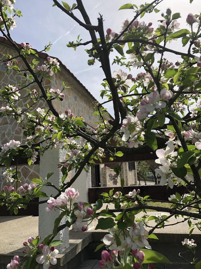 Holiday Home Ivana فيربازار المظهر الخارجي الصورة